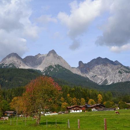 Appartement Herzog Saalfelden Екстер'єр фото